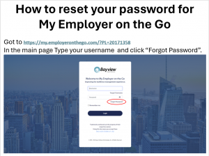 Bayview Payroll - Payroll Processing Company in South Florida